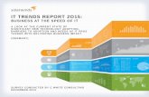 SolarWinds IT Trends Report 2015: Business at the Speed of IT (Germany)