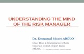 Understanding the Mind of the Risk Manager