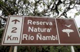 Colombia´s biodiversity in the Nambi reserve
