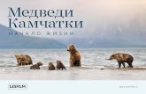 Медведи Камчатки. Начало жизни / Kamchatka Bears. The Beginning of Life