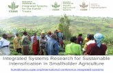 Integrated systems research for sustainable intensification in smallholder agriculture - Kwesi Atta-Krah