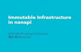 Immutable Infrastructure in nanapi