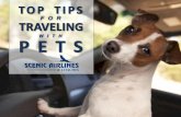 Top tips for traveling with pets