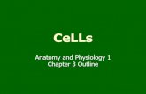 Chapter 3--CELLS