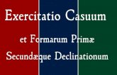 LLPSI, Lectio 3.1: Casus Accusativus (Singulariter)