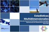 Portal WEB SRI: Estadísticas Multidimensionales