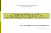 Plan de Desarrollo Local Centro Histórico Cumaná 2009