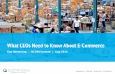 What CEOs Need to Know About E-Commerce 081914