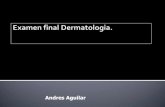 Practica Dermatologia