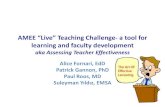 Teacher Effectiveness- AMEE 2013