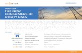 Expert Q&A: The New Consumers of Utility Data