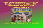 Diapositivas: Concepción genético-cognitiva del aprendizaje según Piaget