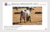 Balanço megaleite 2011 1