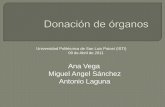 Donacipon de organos