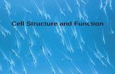 Cell theory and structure ppt