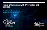 Hands-on Experience with IPv6 Routing and Services