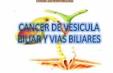 Cancer de vesicula biliar y vias biliares