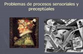 Problemas de procesos sensoriales y perceptuales
