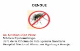 Situacion del dengue 2015