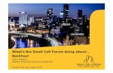 Small Cell Forum: Small Cells Backhaul (Julius Robson)