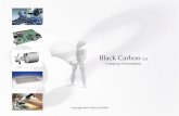 Black Carbon Ltd Presentation 2009