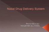 Naqeeba   nasal drug delivery system