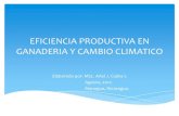 Eficiencia productiva y cambio climático