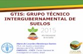 GTIS: Grupo Técnico Intergubernamental de Suelos - Maria de Lourdes Mendonça-Santos