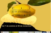 Programa Oficial FIT Cazorla 2011 de Calle