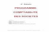Programme comptabilite des_societes