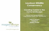 Creating wildlife habitat in your home landscape