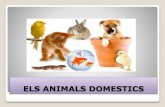 Els animals domestics