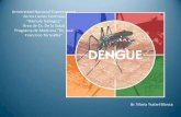 Dengue Mybp