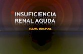 Insuficiencia renal aguda diapositivas