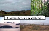 Comunidades ecosistemas web-1