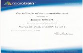 MS Project I 2007/2010 certificate