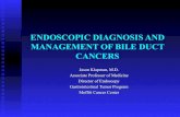 Endoscopic management of bile duct cancers