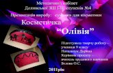 9кл. презент.натальчук дарина 2011 косметичка
