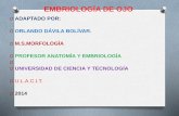 Embriología de ojo (nueva)