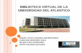 Presentación biblioteca virtual ua