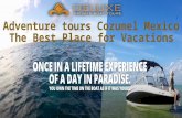 Adventure tours cozumel mexico   the best place for vacations