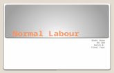 Normal labour by Dr shehr bano