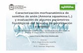 Caracterización morfoanatómica de semillas de anón (annona squamosa l.) y evaluación de algunos parámetros fisiológicos del proceso de germinación y latencia