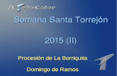 Semana Santa Torrejon 2015: Domingo de Ramos