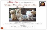 Doggies Day Out- Report to the Resort