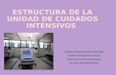 Estructura de la unidad de cuidados intensivos