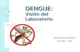 Van der wekken mariela  dengue