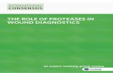 The role of proteases wound diagnostics