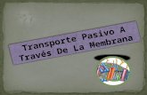 Transporte Pasivo A Traves De La Membrana.