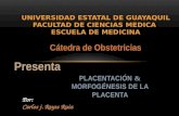 Placentación & morfogénesis